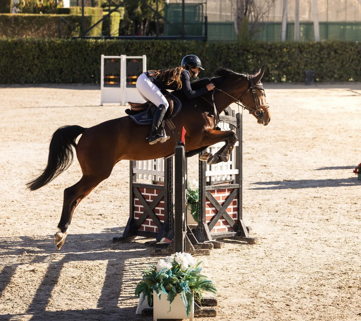 Sarai Nieves, entrenadora de salto de obstáculos